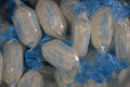Clear Mints