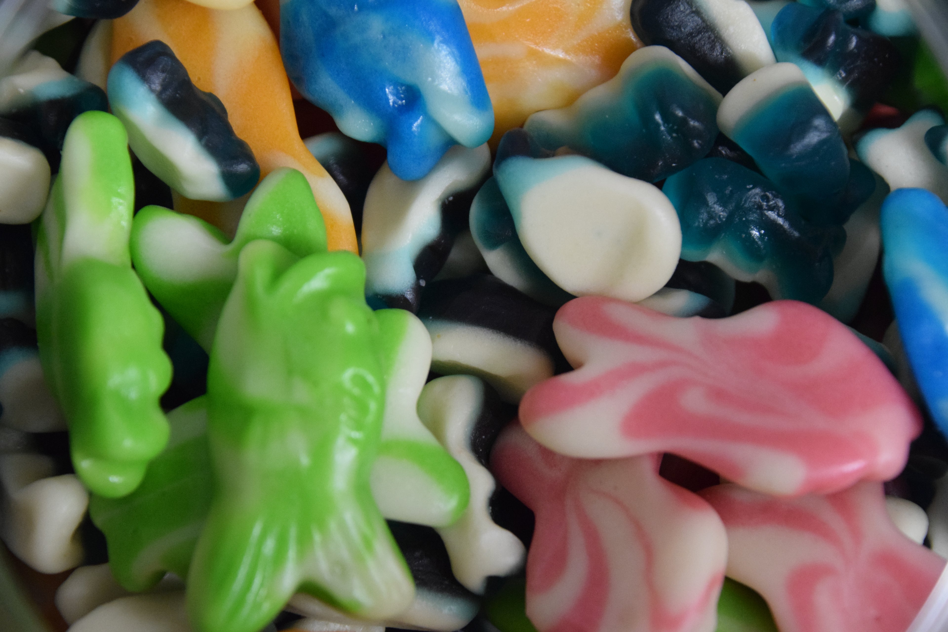 Mini Dolphins and Swirly Fish