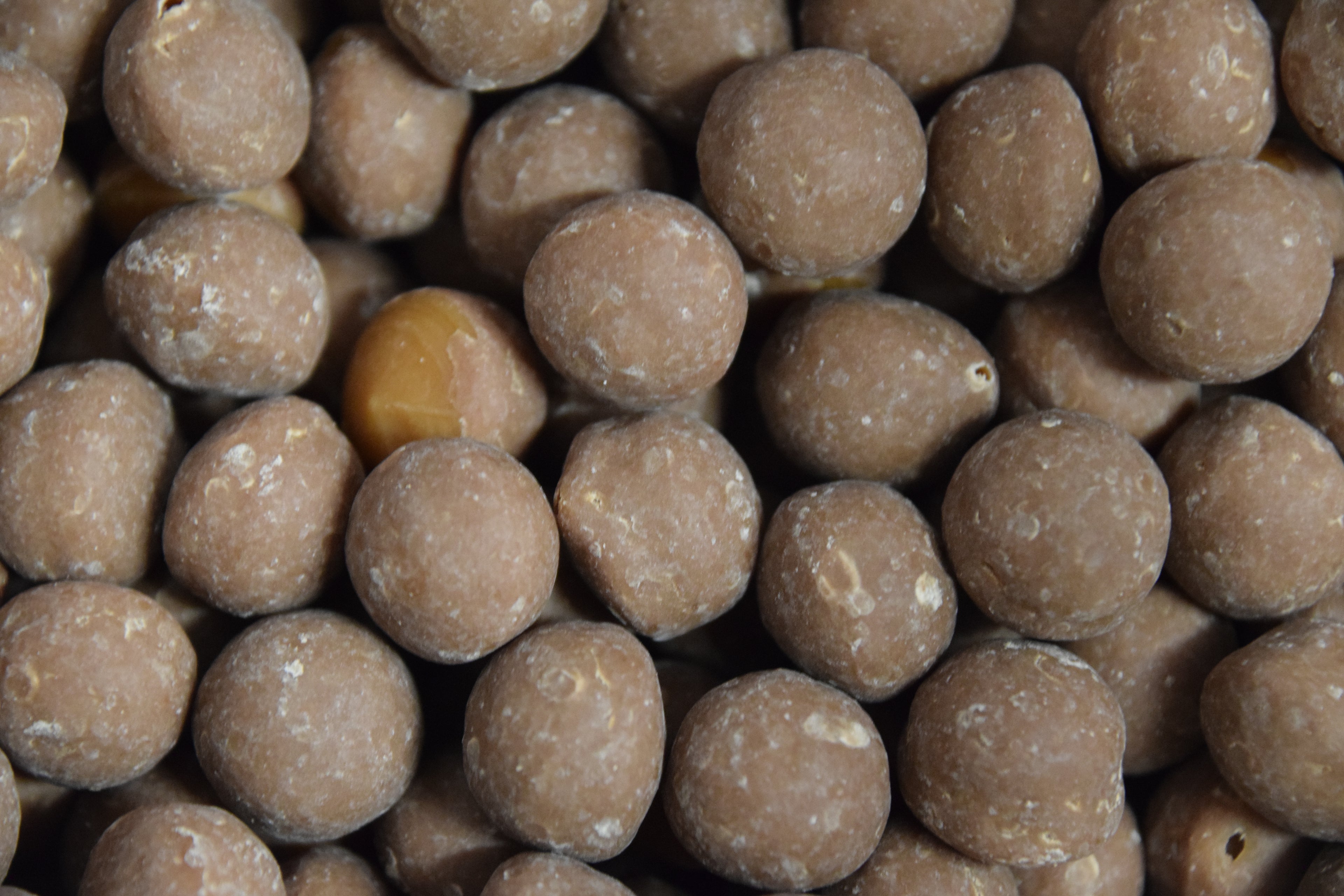 Chocolate Covered Toffee Chewing Nuts